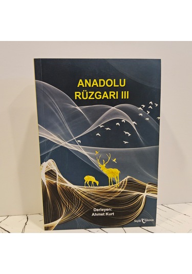 Anadolu Rüzgarı 3 - Şiir Ve Öykü Seçkisi Birinci Baskı