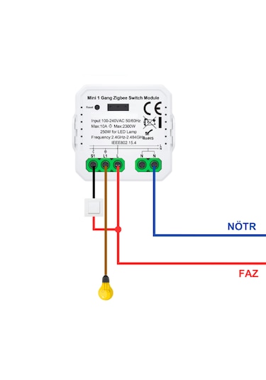 Tuya & EWelink Uyumlu Zigbee 10 A / 220 V Röle Akıllı Anahtar