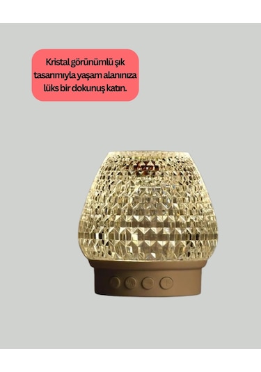 Bfs 15 Metre Çekim Mesafeli Şarjlı Işıklı Hoparlör Çok Renkli