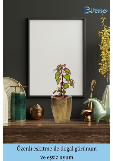 Saksı Çiçek Kaktüs Saksısı Lüx 15 Cm Poly Desen Saksı Çiçeklik - Altın Eskitme