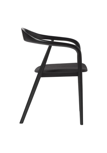 Zodiac Exclusive Yılan Ahşap Sandalye Siyah - Siyah