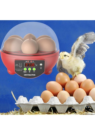 Homyl Yumurta Kuluçka Makineleri Otomatik Civciv Ördek Için