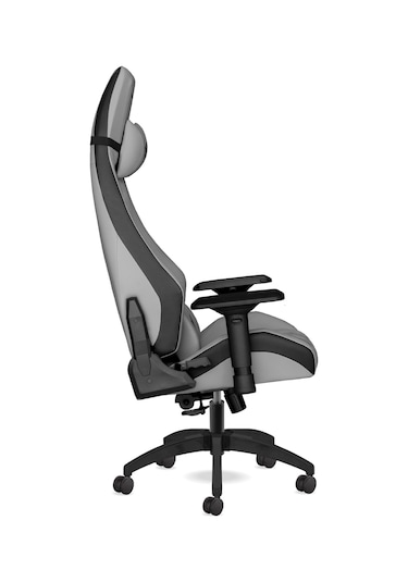 Calitte Profesyonel Oyuncu Koltuğu Titan Tt Pro Aytaşı