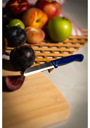Solingen Simli Meyve Bıçağı Mavi Saplı, 18,5 Cm, Paslanmaz Alman Çeliği Tekli -127 Mavi