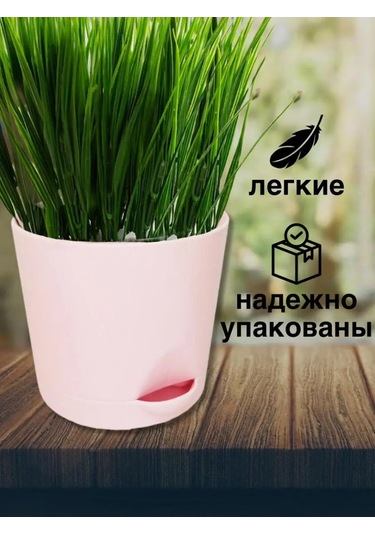 Interm Meyan Çiçeği Saksısı Küçük Plastik Saksı Seti 104978040