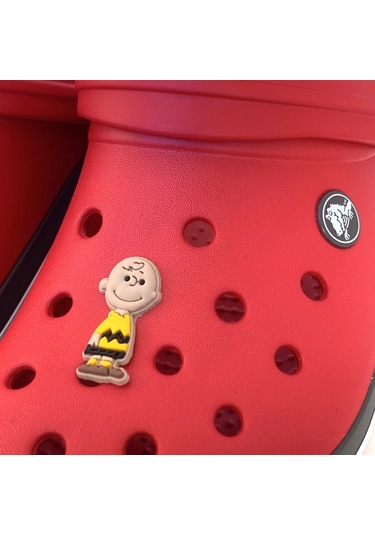 Crocs Terlik Süsü & Renkli Aksesuar Jibbitz (474782511) Çok Renkli