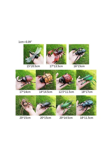 Tenfowee Çocuklar İçin Eğitici Bilgi Verici Böcek Modeli Oyuncak, Fen Ve Doğa Tanıma Hediyesi - Kuvvet Böceği