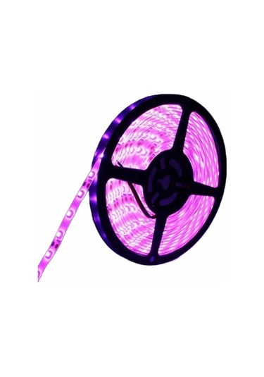 5metre Led Şerit 5050 Dc12v Pembe Renkli 60led/m Ip20 Işık Aydınlatma Lambası Hortum Kendinden Yapışkanlı