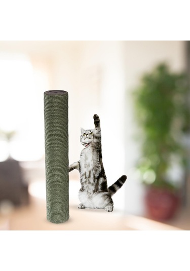 Suntek 1 Paket Scratch Post Dolum Kutup Taşlama Yeşil-h-12.5cm