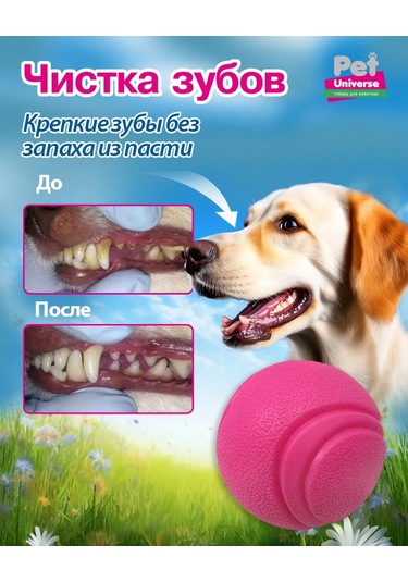 Pet Universe Köpekler İçin Dayanıklı Top Oyuncak 6 Cm 89 Gram Pu3052pk 198986249