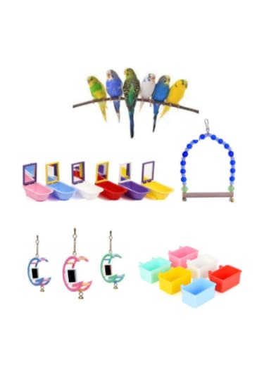Purecanpati Fit Fly Kuş Aksesuar Oyuncak Set