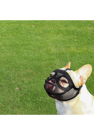 Homyl Ayarlanabilir Pet Köpek Dil-çıkartılmış-siyah-m
