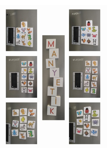 Efe'nin Hayvanat Bahçesi Seri-2 / Manyetik Eğitici Oyuncak