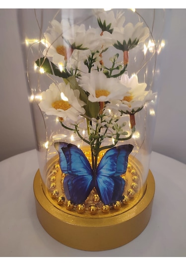 Işıklı Papatya Buket Fanus