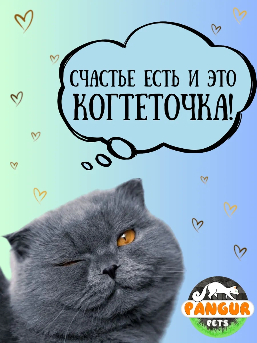 Pangur Kedi Mama Kabı Kulaklı Kırışık Karton Kedi Panguru Toguoluğu Yastığı 293410595