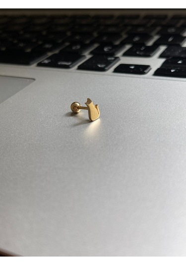 Cerrahi Çelik Tragus Helix Kıkırdak Conch Minimal Kedili Piercing Gold