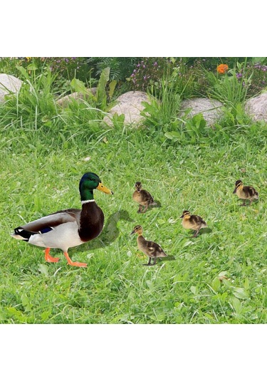 2023 Bahçe Süsleri Heykeller Tavuk Süsleri Horoz Heykelleri 2d Düz Bahçe Sanat Dekoru Çift Taraflı Desenlic