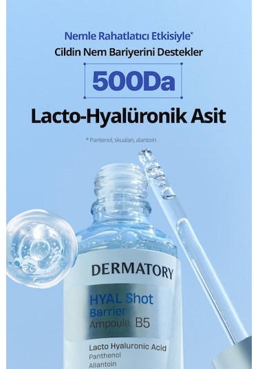 Dermatory Hyal Shot Barrier Ampoule B5 20 ML