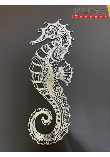 Numa Concept Deniz Atı Gümüş Pleksi 55x20