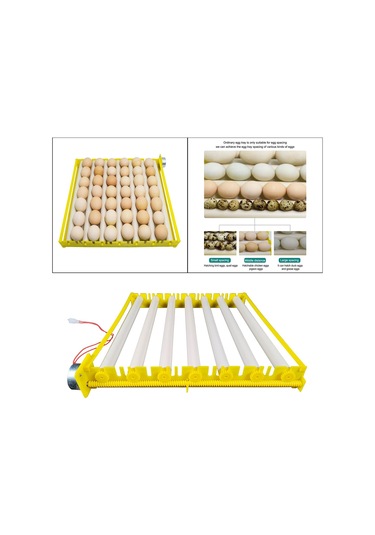 Suntek Yumurta Kuluçka Makinesi Tepsisi Otomatik Yumurta