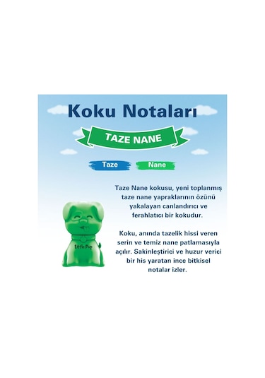 Little Joe Little Pup Taze Nane Araç Kokusu Minty Fresh -45 Gün