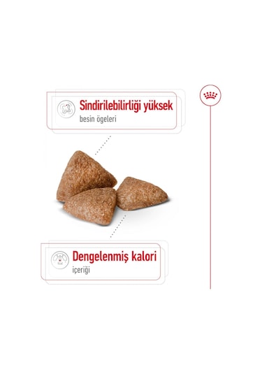 Royal Canin Mini Indoor Yetişkin Köpek Maması 1500 G
