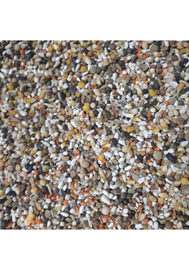 KARIŞIK GÜVERCİN YEMİ 10 KG BUĞDAYSIZ