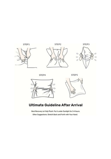 Trendooze Sunshine022 50x50 Cm 2'li Alerjik Kılıf Kırlent Diğer