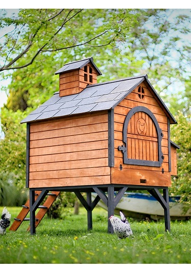 Mandu Ahşap Tavuk Kümesi (Max 16 Tavuk)