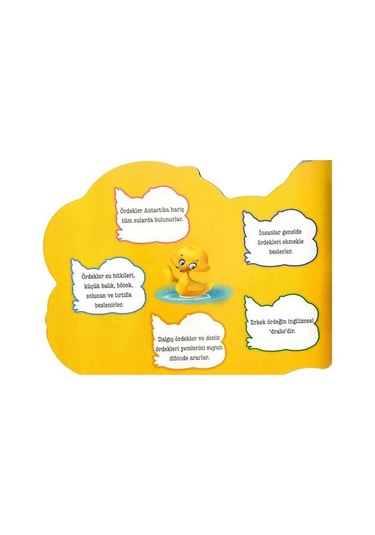 Şekilli Hayvanlar Serisi - Ördek- Parıltı Yayınları