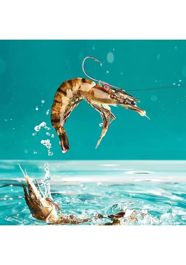 Reedark Deniz Balıkçılığı İçin Karbon Çelik İğneler, Canlı Yem Sabitleyici, Taşınabilir, Farklı Boyutlar 2 3 4 , Tuzlu Su Uygun