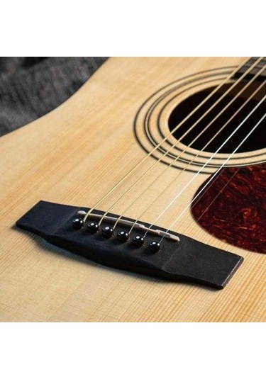 Cort Earth60op Akustik Gitar, Open Pore, Masif Ladin Kapak, Arka