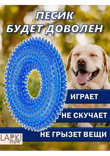 Lapkistyle 10 Cm Düdük Ve Dikenli Köpek Halkası 295393729