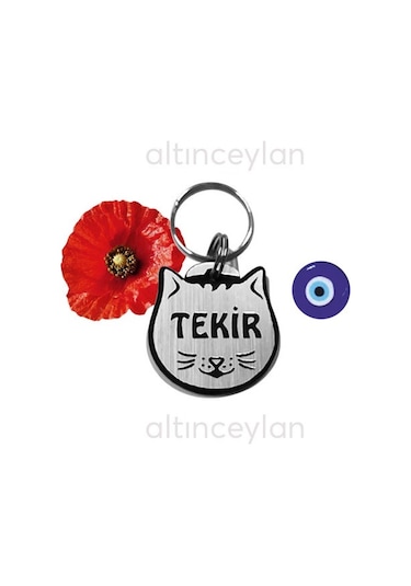 Altınceylan Kedi Isim Künyesi Kedi Isimlik Kaybolursam Lütfen Ara