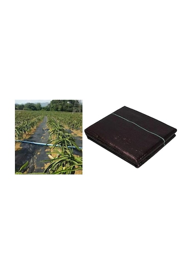 Homyl Izgara Şeritli Siyah Ot Bariyeri Engelleyici 1x1-metre