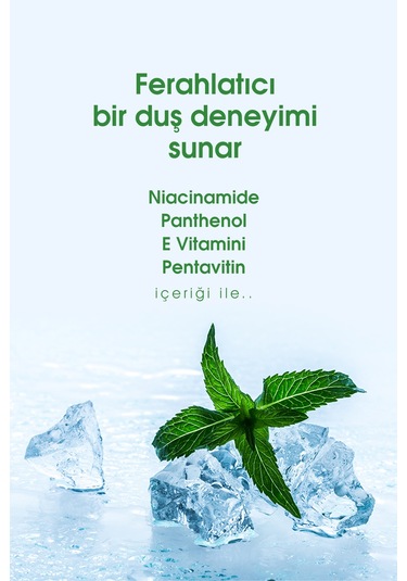 Tto Clinic Mentol Tazeliği Duş Jeli 500 ML
