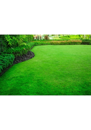 Çim Tohumu 3 Lü Karaşım Ithal Çim Tohumu 1000 Gram Tohum