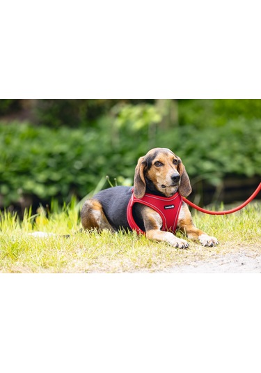 Beeztees Köpek Göğüs Tasması, Neopren, Kırmızı, M, 41-46cm Çok Renkli