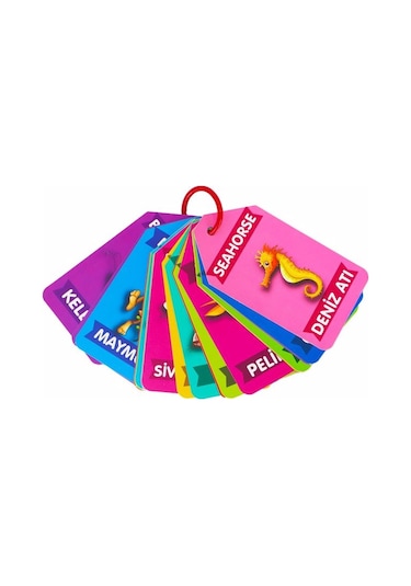 Flash Kartlar Hayvanlar