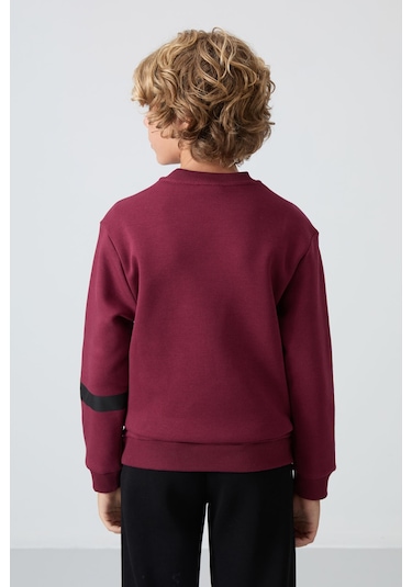 Erguvan Pamuklu Kalın İçi Tüylü Yumuşak Dokulu Standart Fit Baskılı Erkek Çocuk Sweatshirt - 11238 Mor