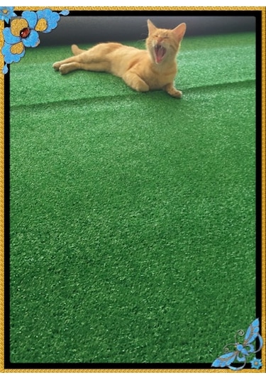 Çim Halı Suni Yapay 7 Mm.