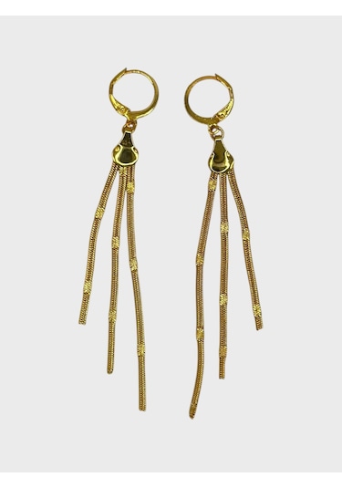 Arnes Jewelry Çelik Sallantılı İtalyan Ezme Küpe Gold