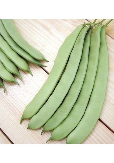 Sarıkız Fasulyesi Tohumu