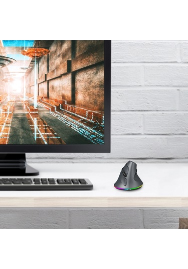 Dikey Kablosuz Oyun Mouse'u Programlanabilir Mouse 2.4g Kablosuz + Bt Bağlantısı Ergonomik Tasarım Diğer