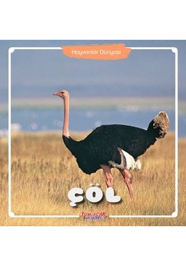 Hayvanlar Dünyası - Çöl- Yumurcak Yayınları