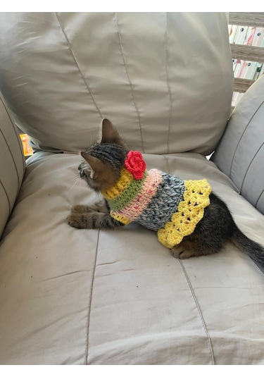 Pati Kedi Köpek Örme Fırfırlı Elbise Renkli Giyim Pet