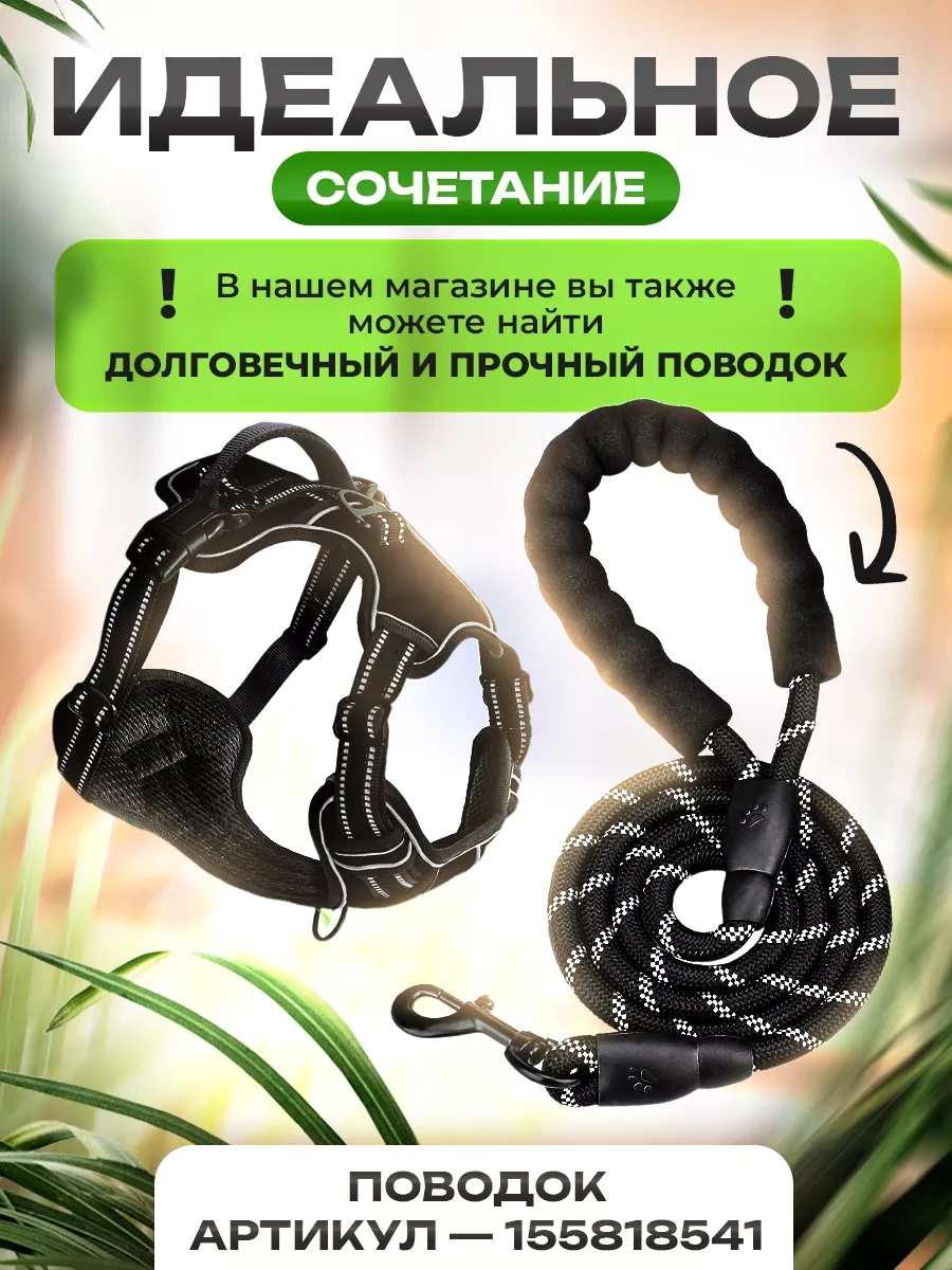 Petfort Orta Ve Büyük Irk Köpekler İçin Anatomik Koşu Kayışı 175383449 Siyah