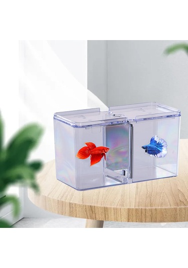 Suntek Balık Yetiştirme Kutusu Tank Kuluçkahane Kuluçka