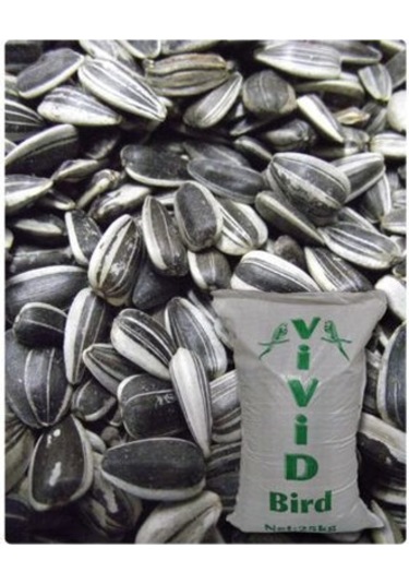 Vivid Küçük Çekirdek Tuzsuz 1kg Praket