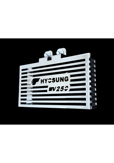 Hyosung Gv 250 Radyator Koruma